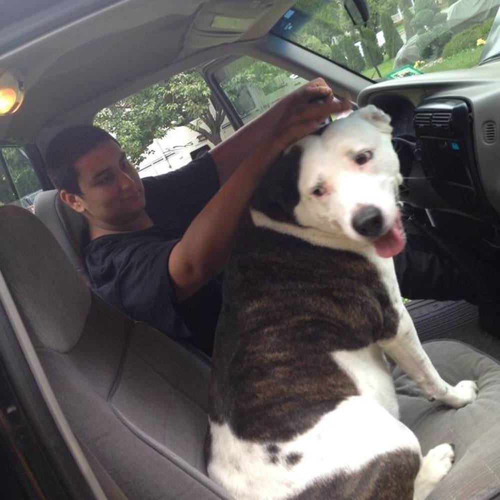 Meet your Posher, Johnny